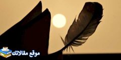 عبارات عن لطف الله بعباده أفضل كلمات معبرة عن الرحمة 2024