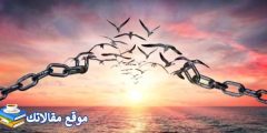 حكم عن غدر الصديق أقوى كلمات عن الصداقة الزائفة 2024