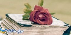 عبارات شكر للاصدقاء الاوفياء أحلى كلام شكر للأصدقاء 2024